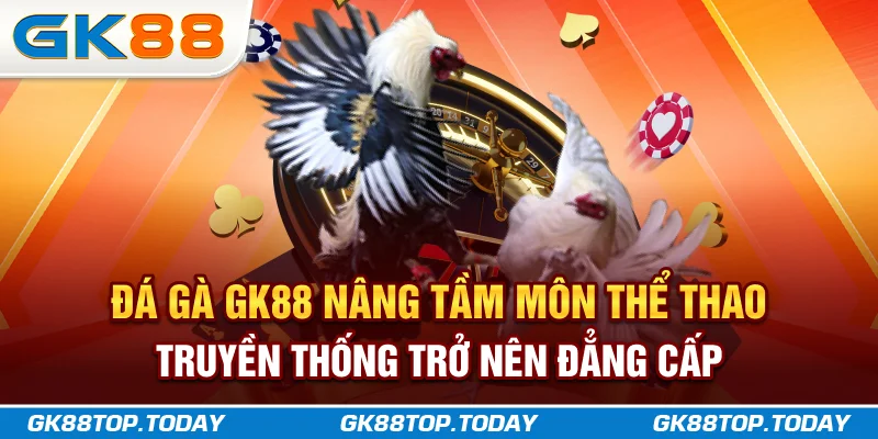 Đá gà GK88 - Nâng tầm môn thể thao truyền thống trở nên đẳng cấp Đá gà GK88 - Nâng tầm môn thể thao truyền thống trở nên đẳng cấp